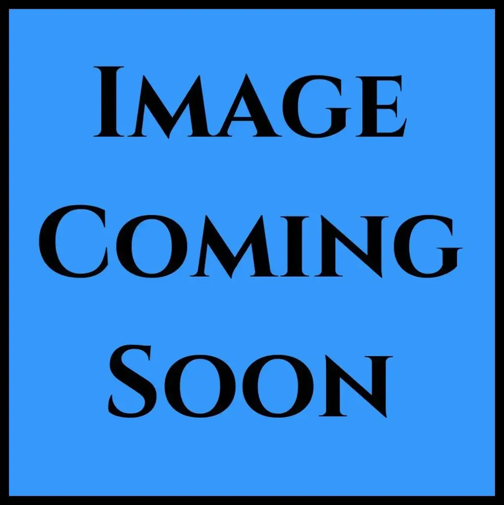 Dishwasher Powder  700gm
