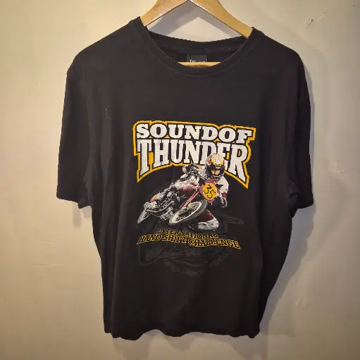 [PLMT04] Preloved Mens Tshirt - 2018 Sound of Thunder size L